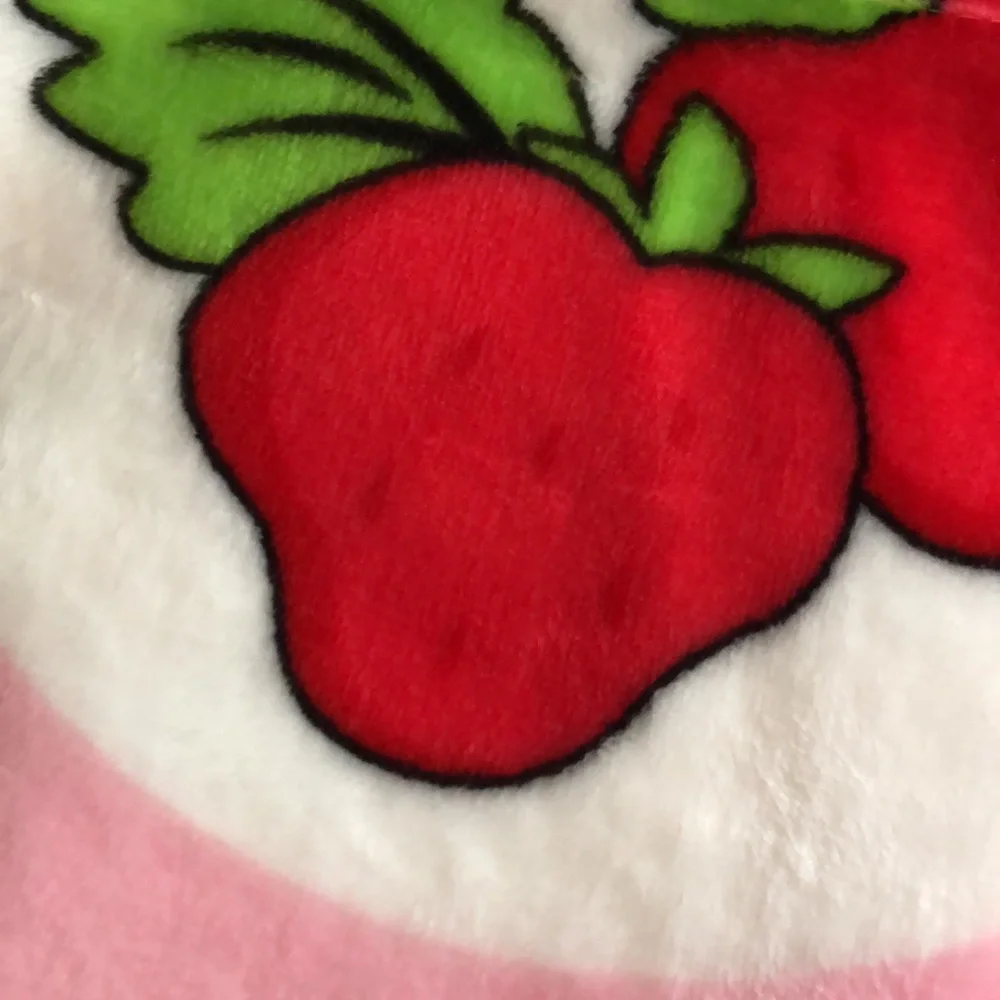 Strawberry Shortcake Pink PRESCHOOL Kids Throw Blanket